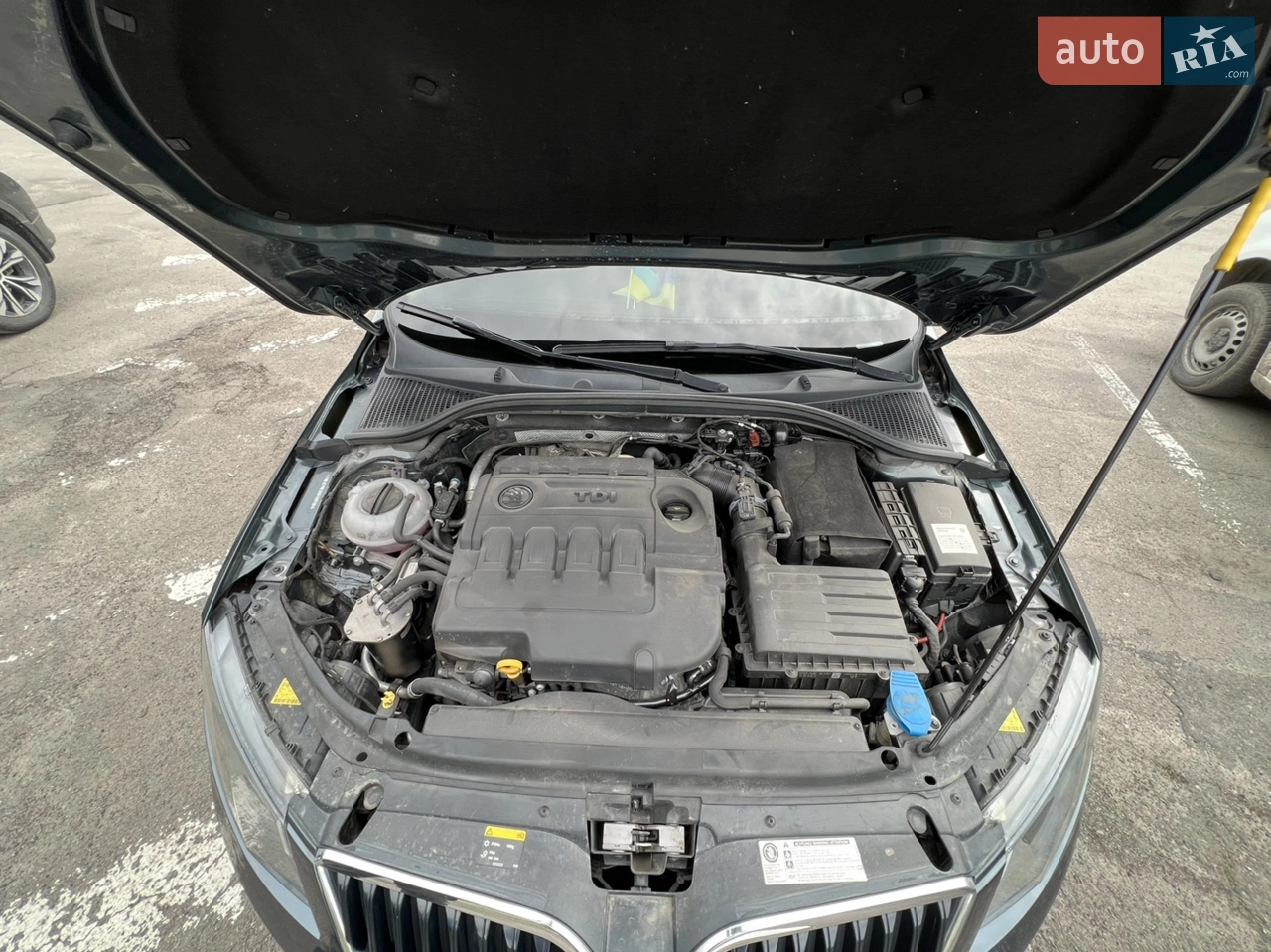 2014 Skoda Octavia - мініатюра 18