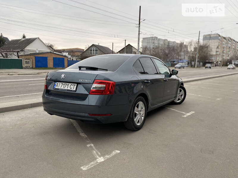 Лифтбек Skoda Octavia 2017 в Белой Церкви