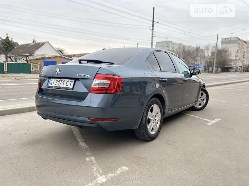 Лифтбек Skoda Octavia 2017 в Белой Церкви