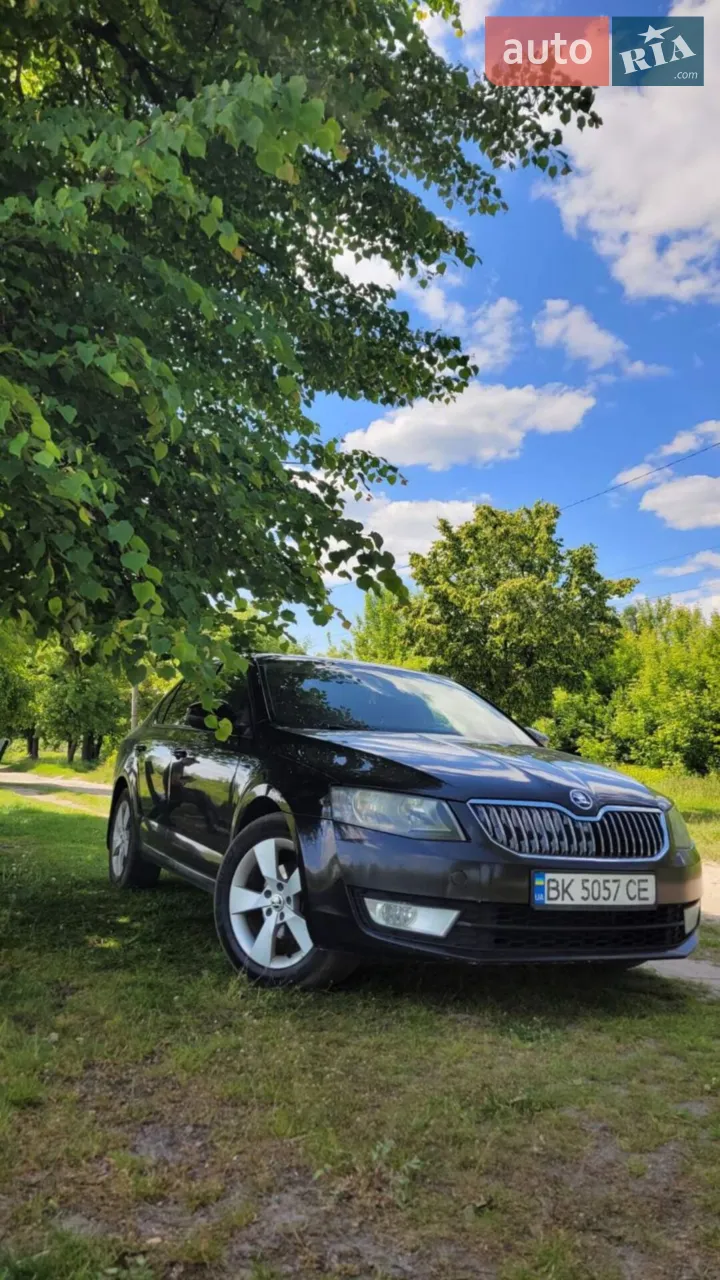 2017 Skoda Octavia - мініатюра 11