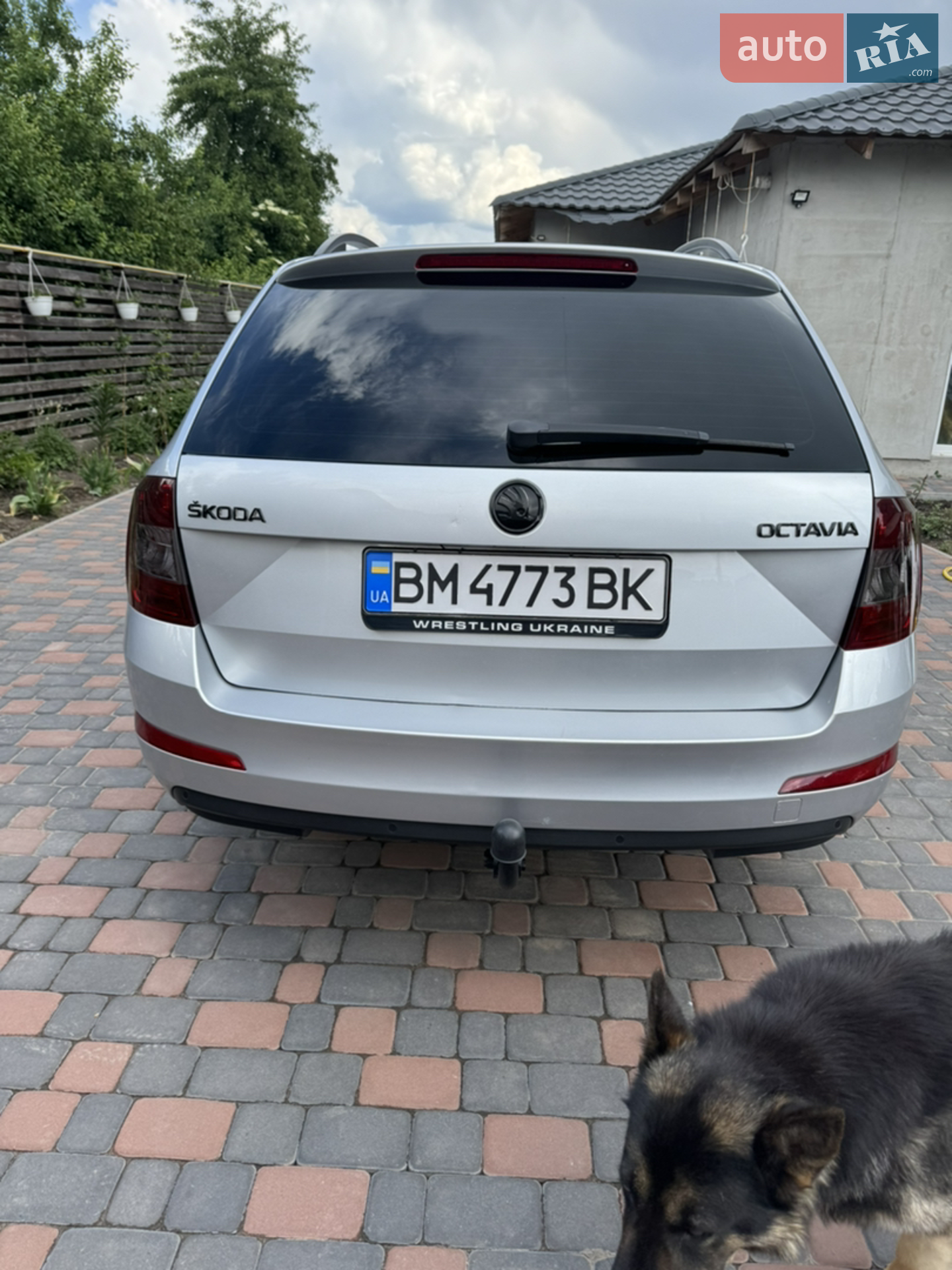 2014 Skoda Octavia - мініатюра 6