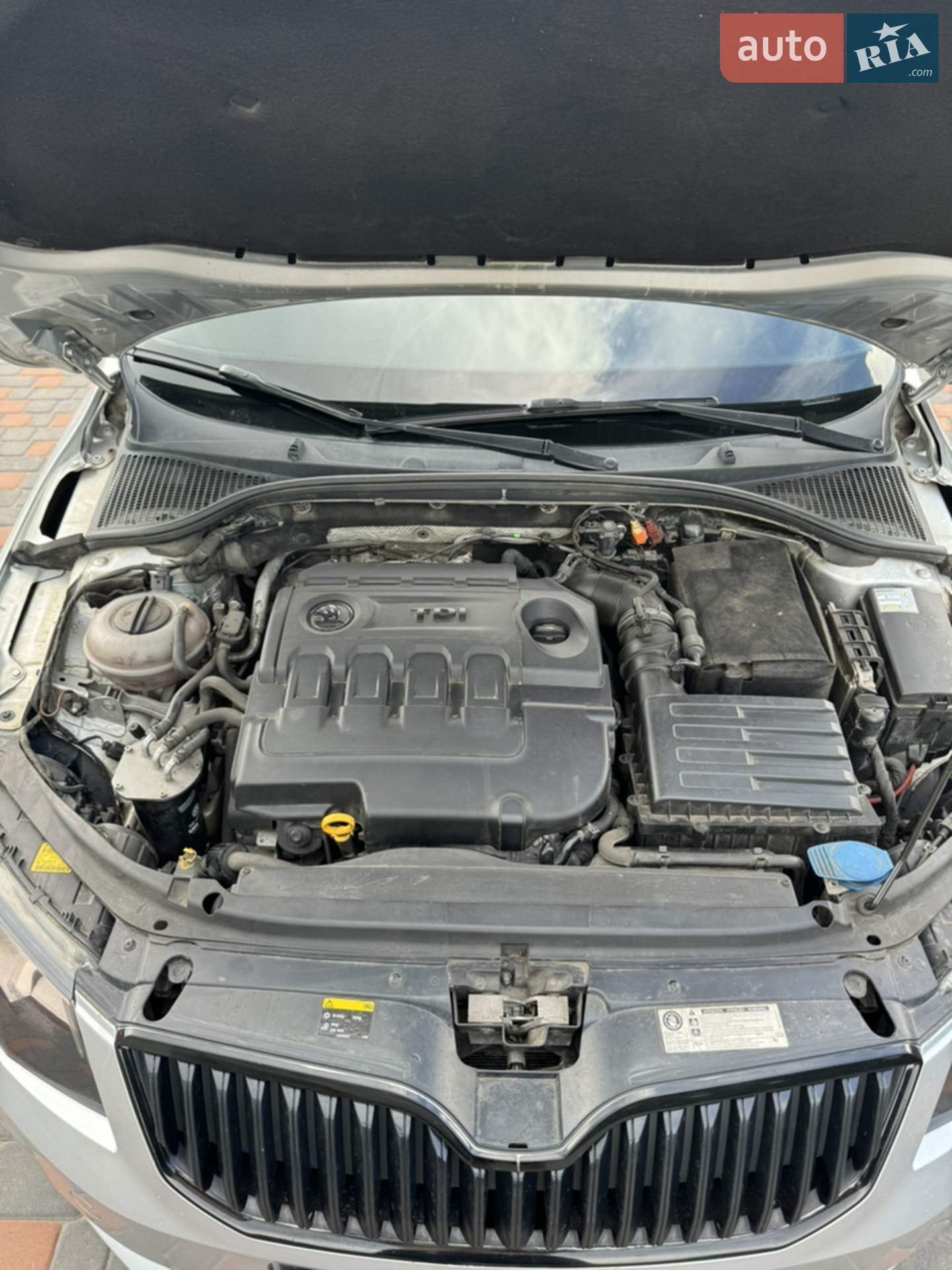 2014 Skoda Octavia - мініатюра 12