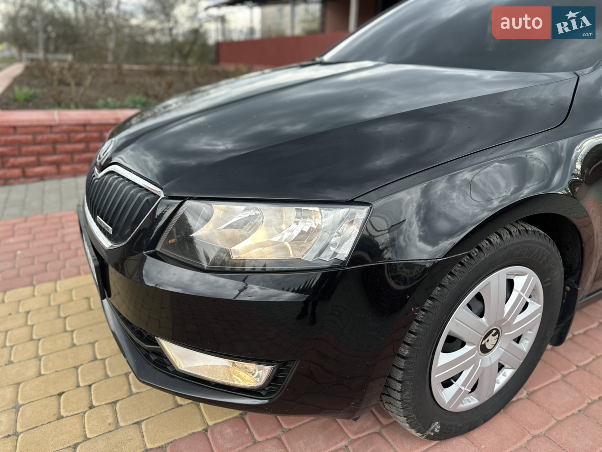 2014 Skoda Octavia - мініатюра 19