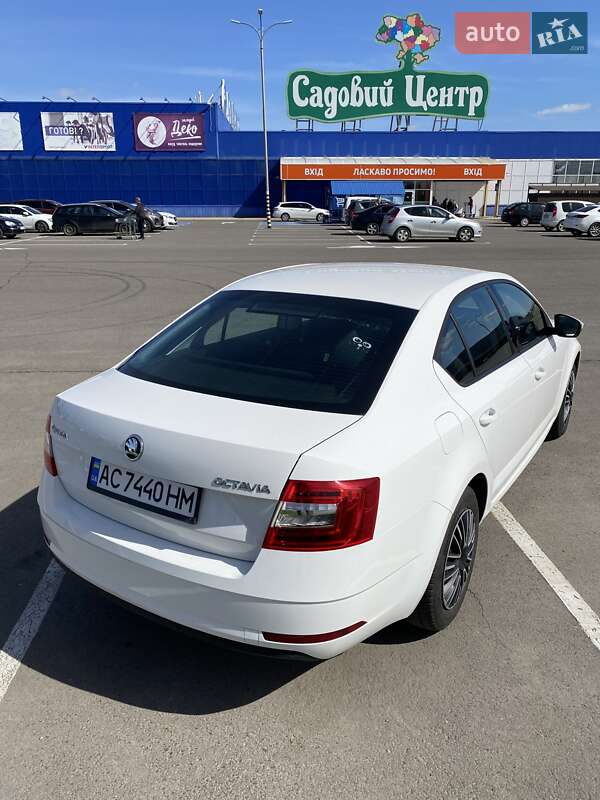 Лифтбек Skoda Octavia 2018 в Луцке