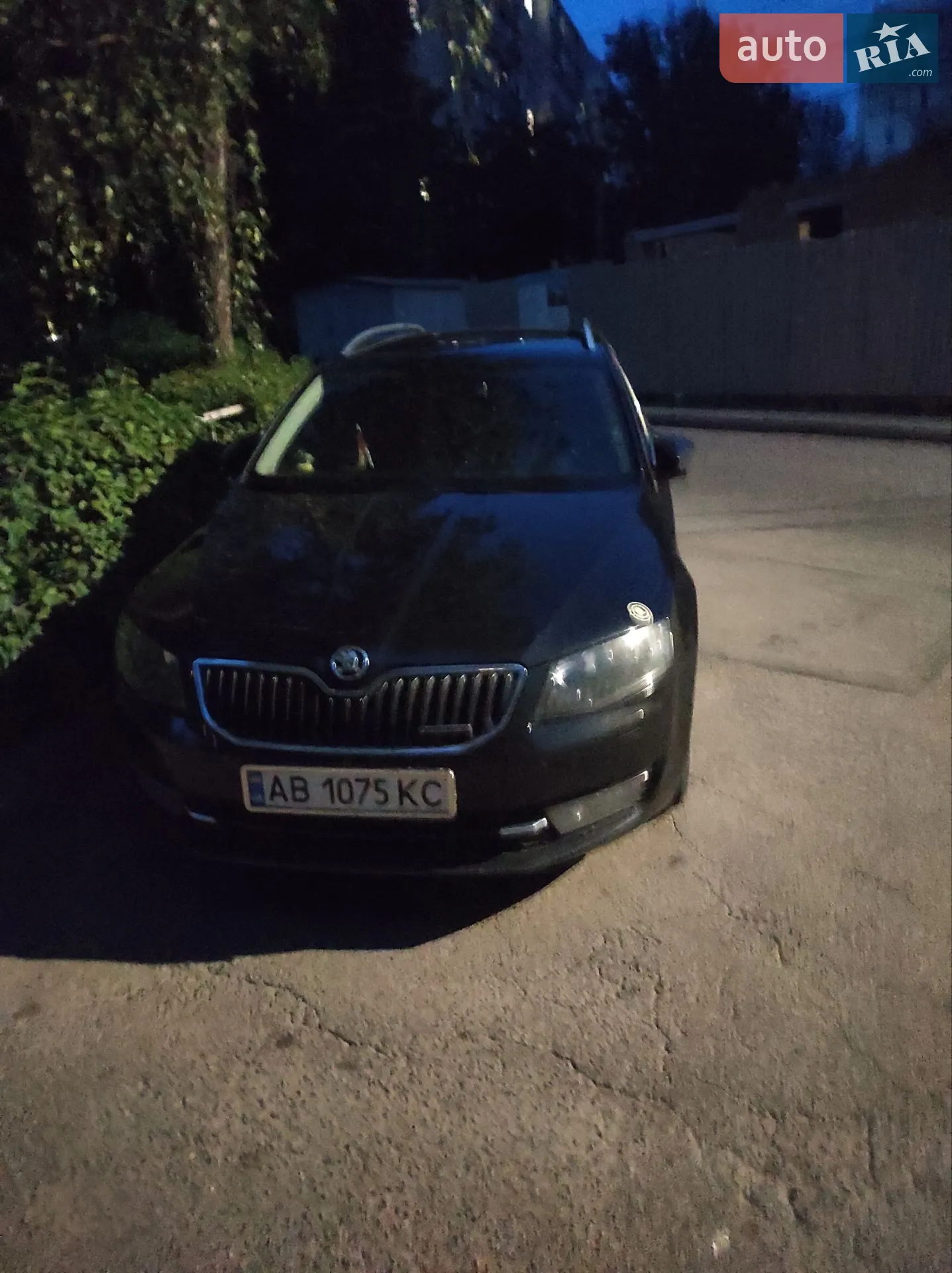 2014 Skoda Octavia - мініатюра 18
