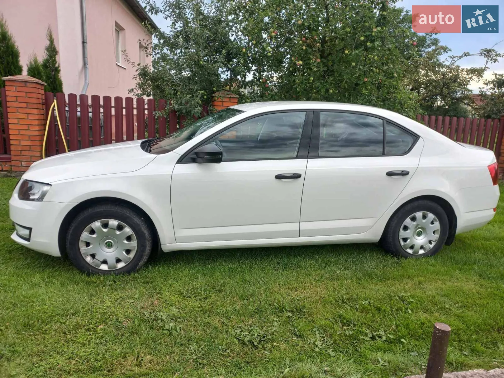 2014 Skoda Octavia - мініатюра 8