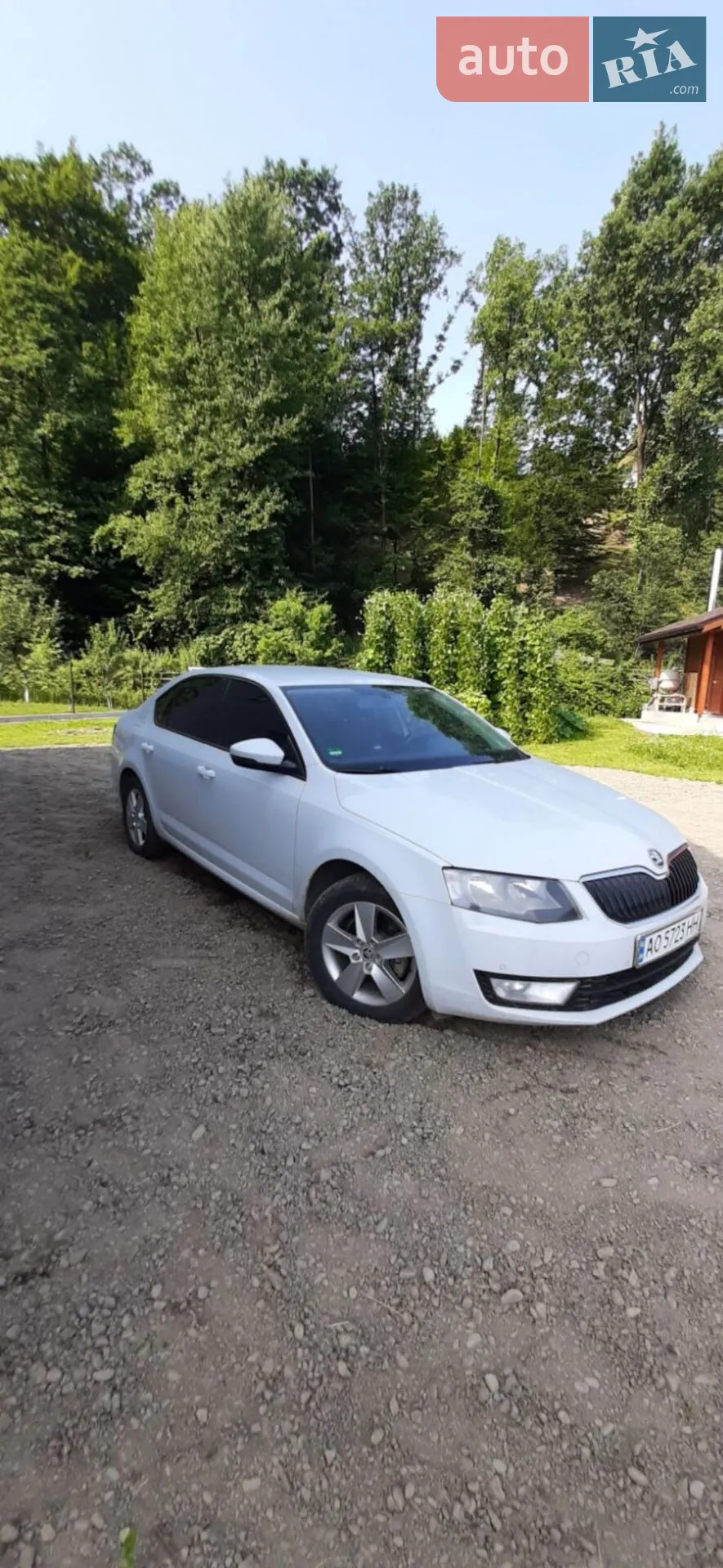 2016 Skoda Octavia - мініатюра 3