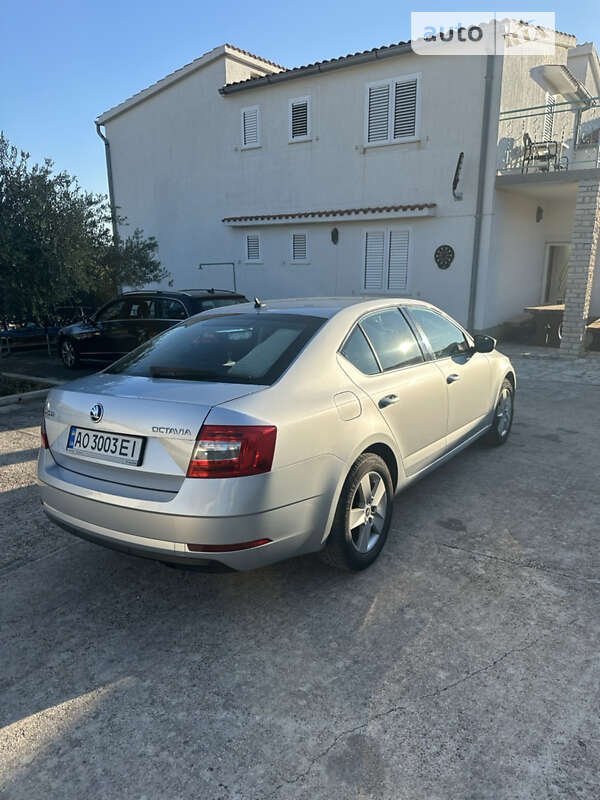 Лифтбек Skoda Octavia 2017 в Тячеве