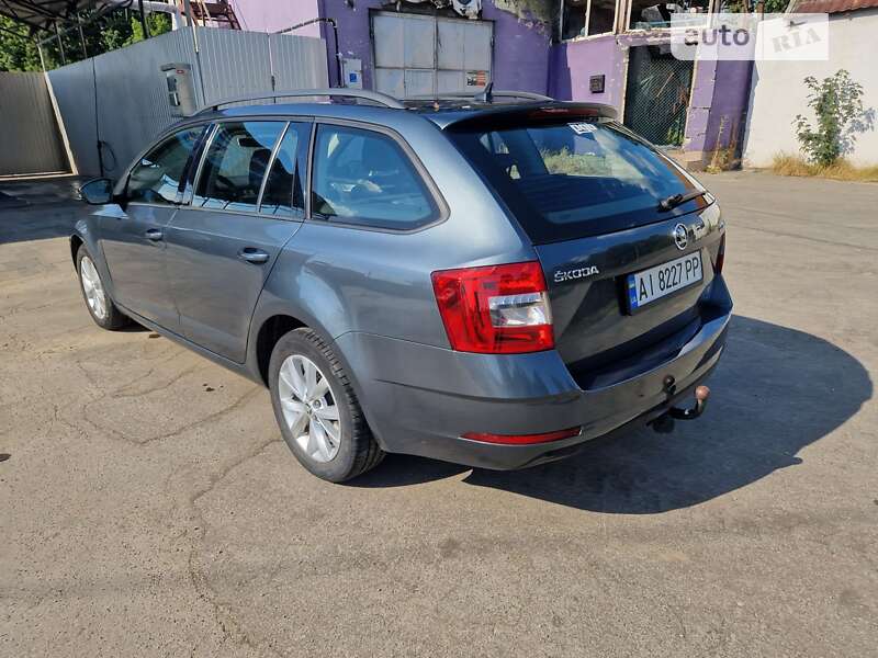 Универсал Skoda Octavia 2019 в Бородянке