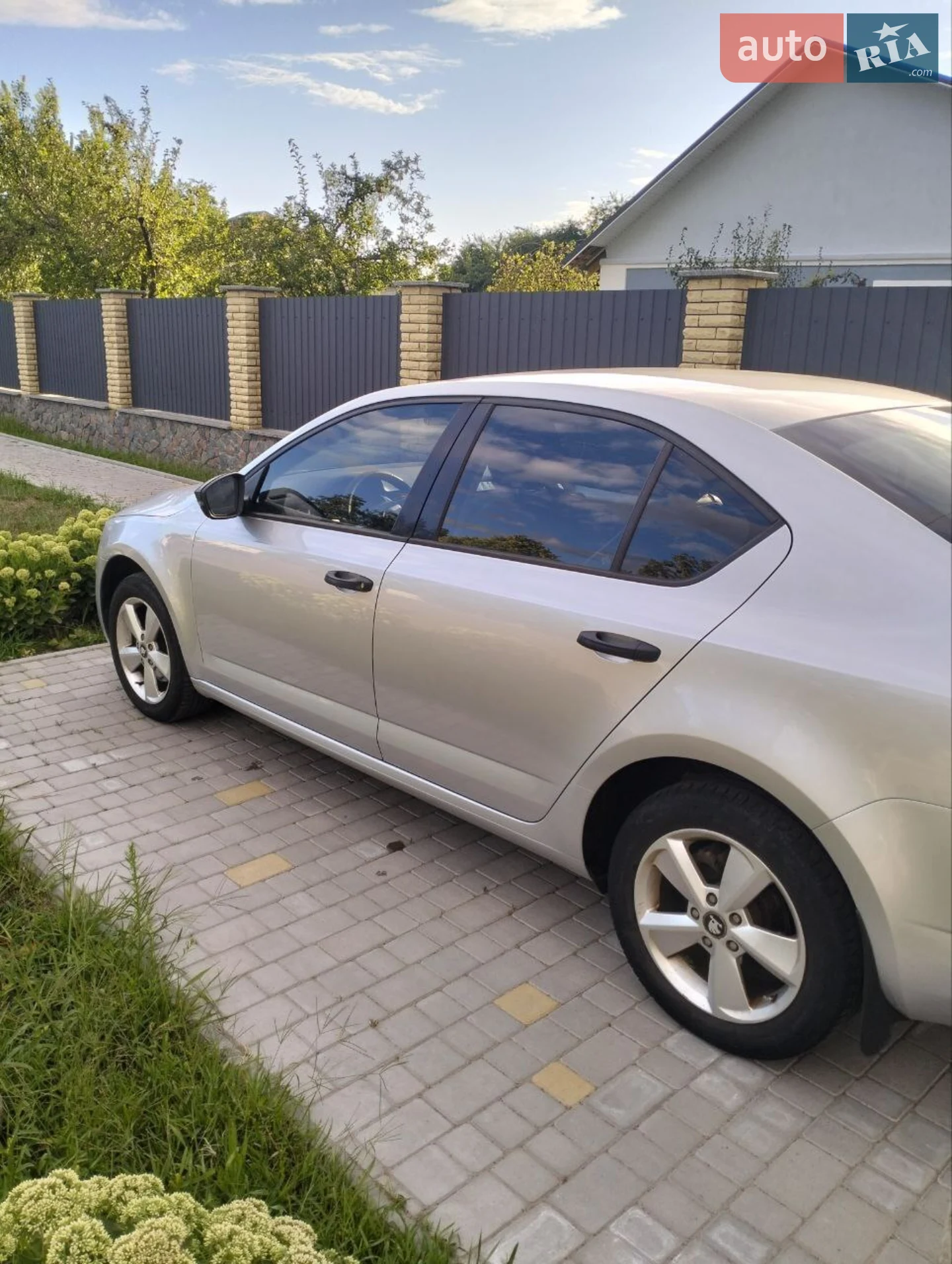 2015 Skoda Octavia - мініатюра 5