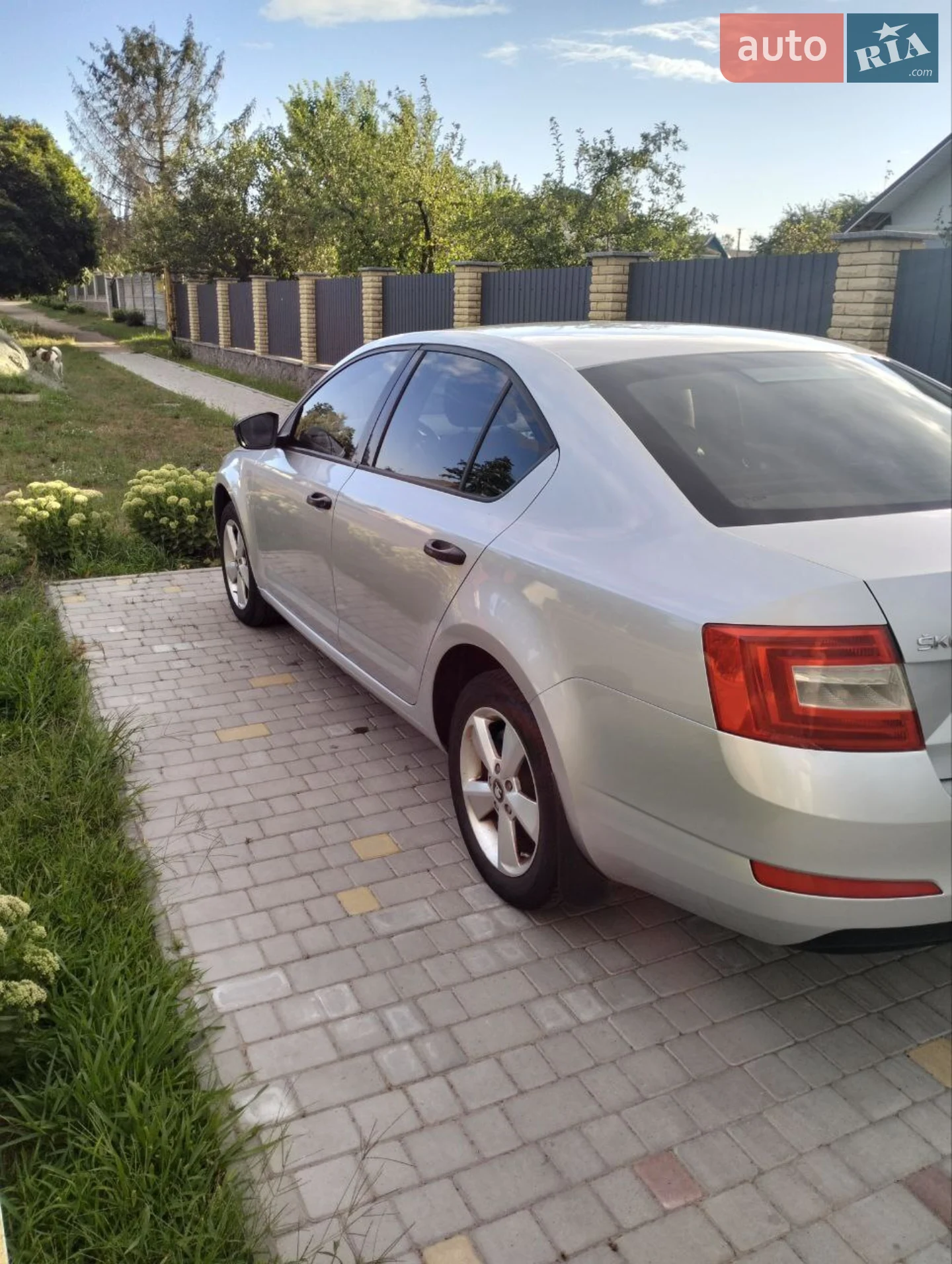 2015 Skoda Octavia - мініатюра 6