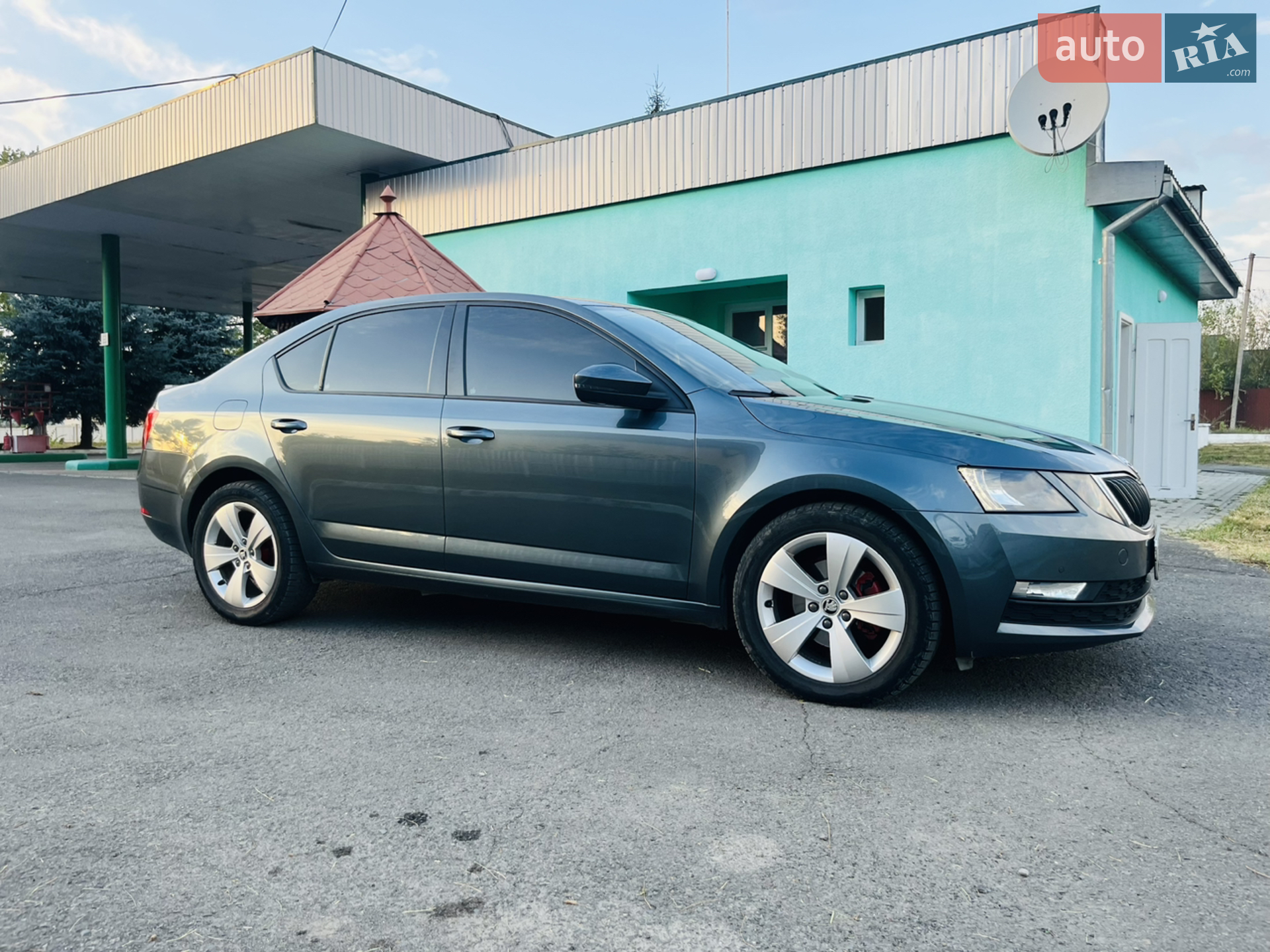 2019 Skoda Octavia - мініатюра 31