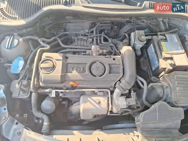 Универсал Skoda Octavia 2009 в Гадяче