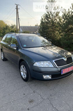 Універсал Skoda Octavia 2005 в Новомиколаївці