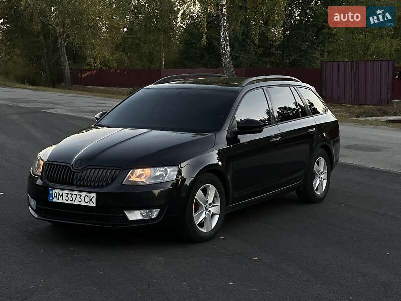 Универсал Skoda Octavia 2014 в Емильчине фото 38 Универсал Skoda Octavia 2014 в Емильчине