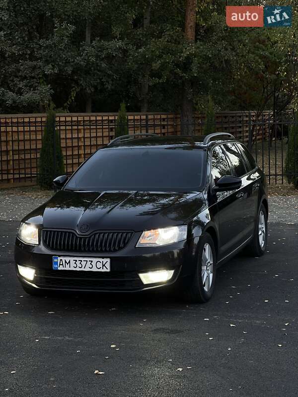 Универсал Skoda Octavia 2014 в Емильчине фото 49 Универсал Skoda Octavia 2014 в Емильчине
