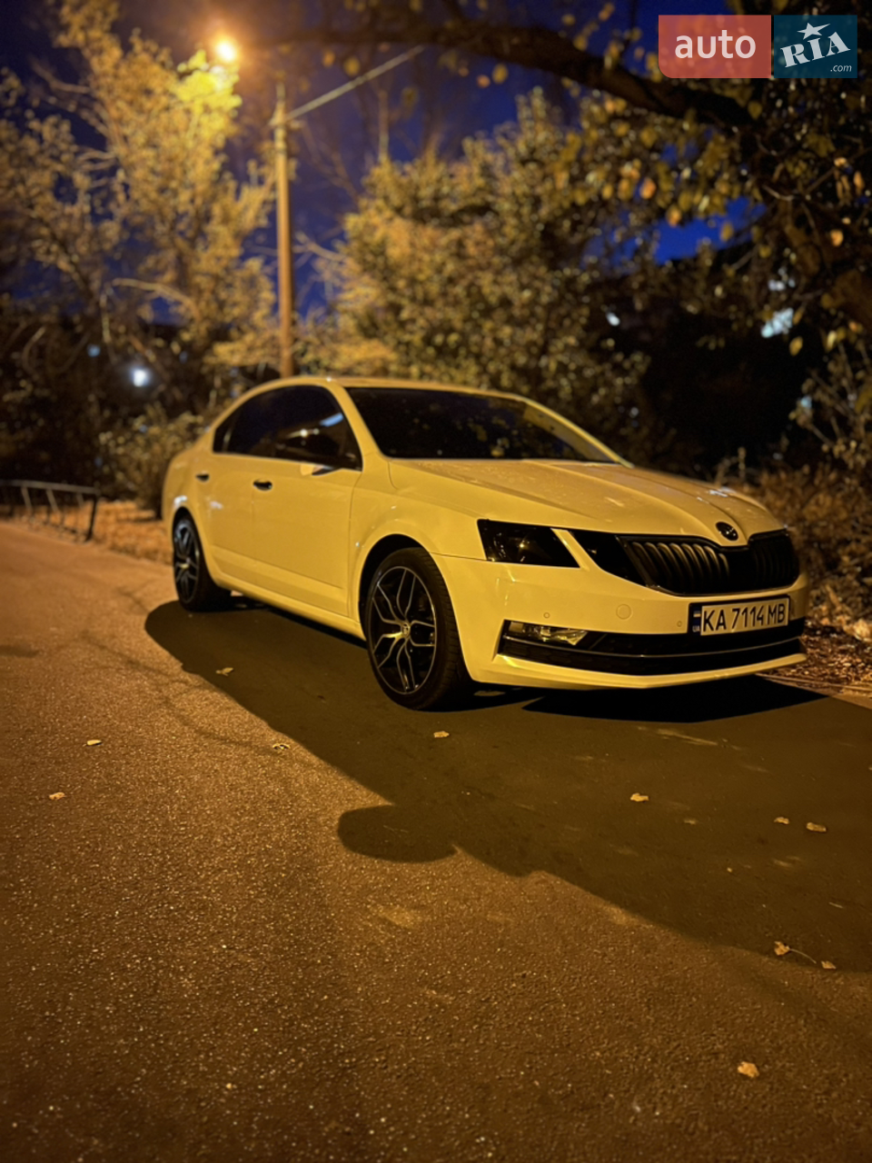 2018 Skoda Octavia - мініатюра 19