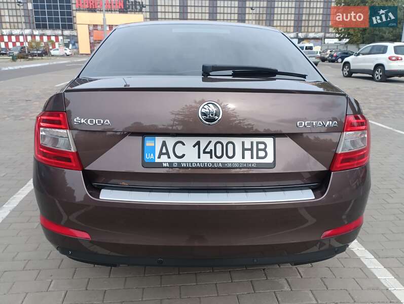 Лифтбек Skoda Octavia 2016 в Луцке фото 20 Лифтбек Skoda Octavia 2016 в Луцке