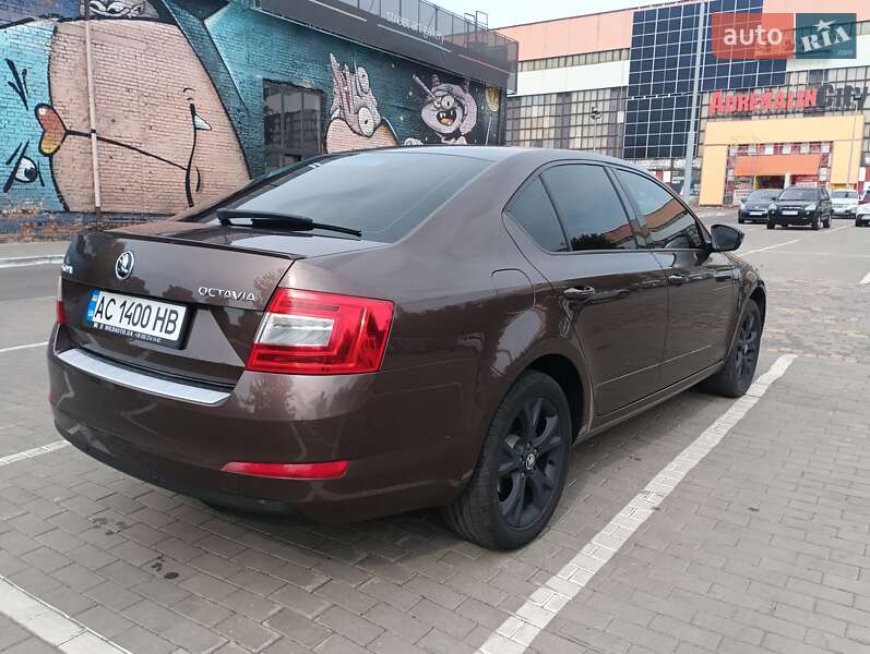 Лифтбек Skoda Octavia 2016 в Луцке фото 23 Лифтбек Skoda Octavia 2016 в Луцке