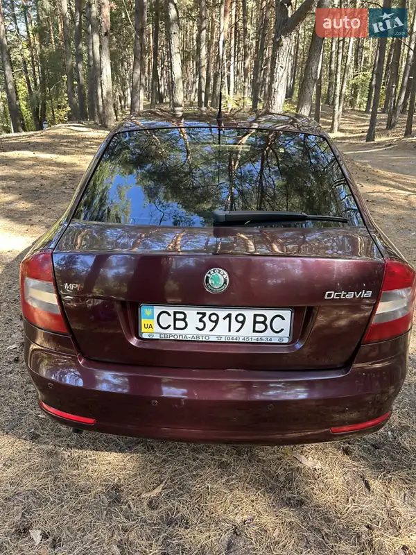 Ліфтбек Skoda Octavia 2009 в 