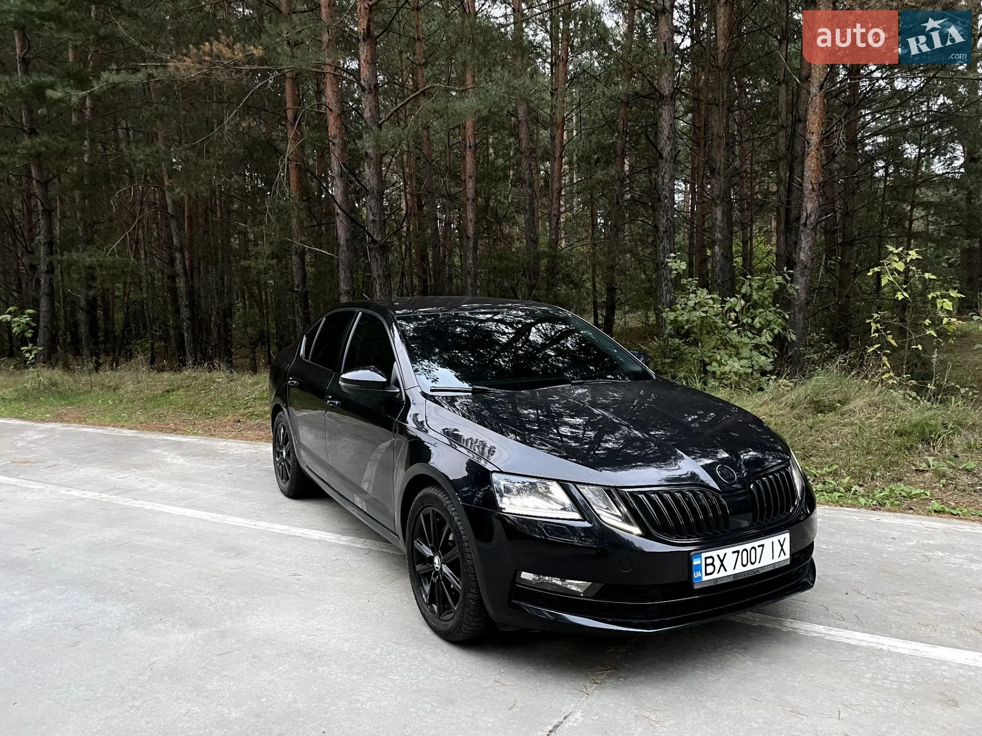 2017 Skoda Octavia - мініатюра 16