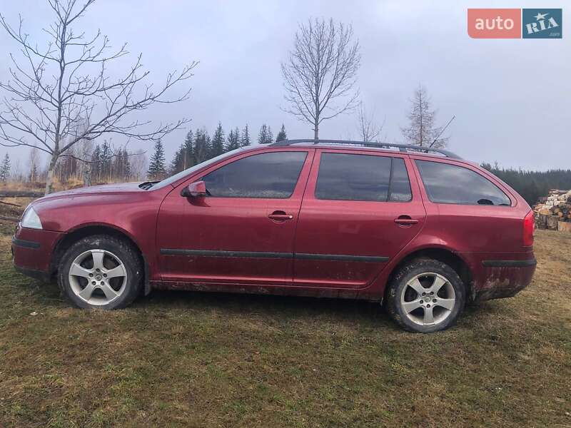 Універсал Skoda Octavia 2005 в Яремчі