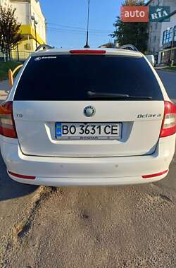 Універсал Skoda Octavia 2010 в Ланівці