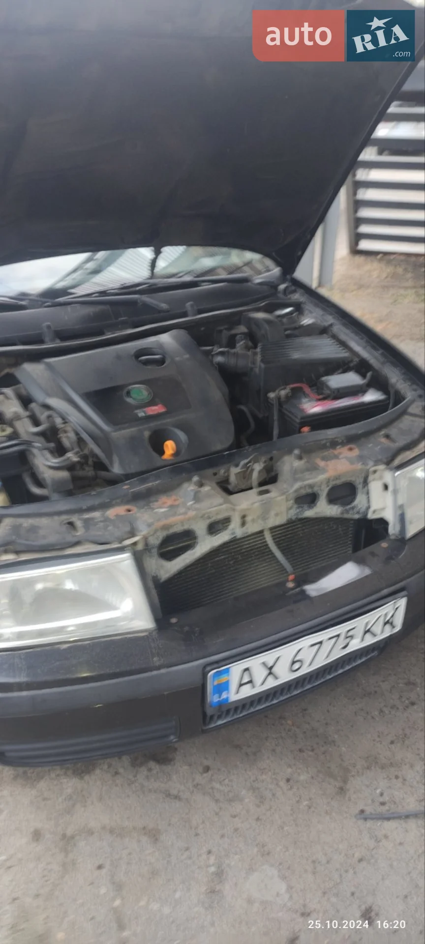 Skoda Octavia 2009 VIN TMBJS41U6A8835613 фото оголошення 19 з 26