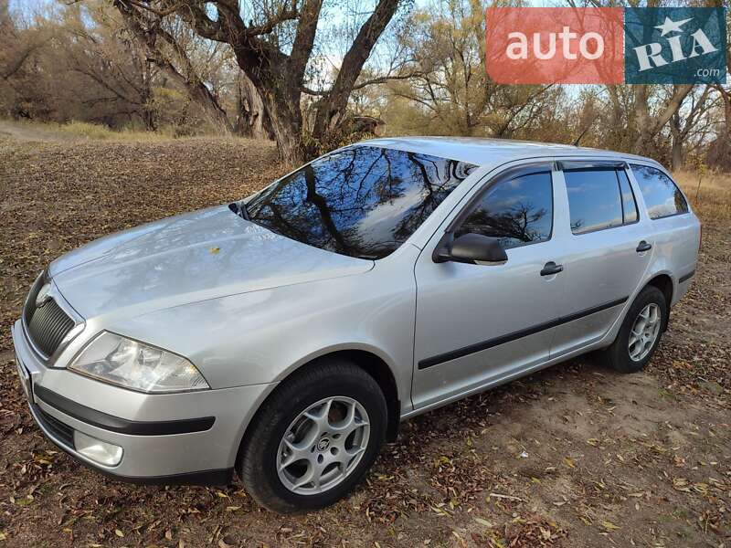 Универсал Skoda Octavia 2008 в Новой Водолаге