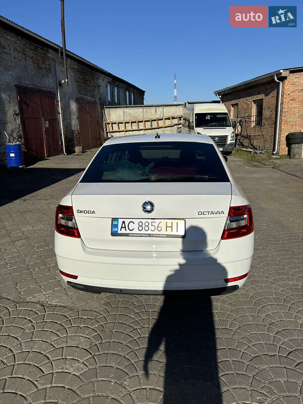 Ліфтбек Skoda Octavia 2019 в Ковелі