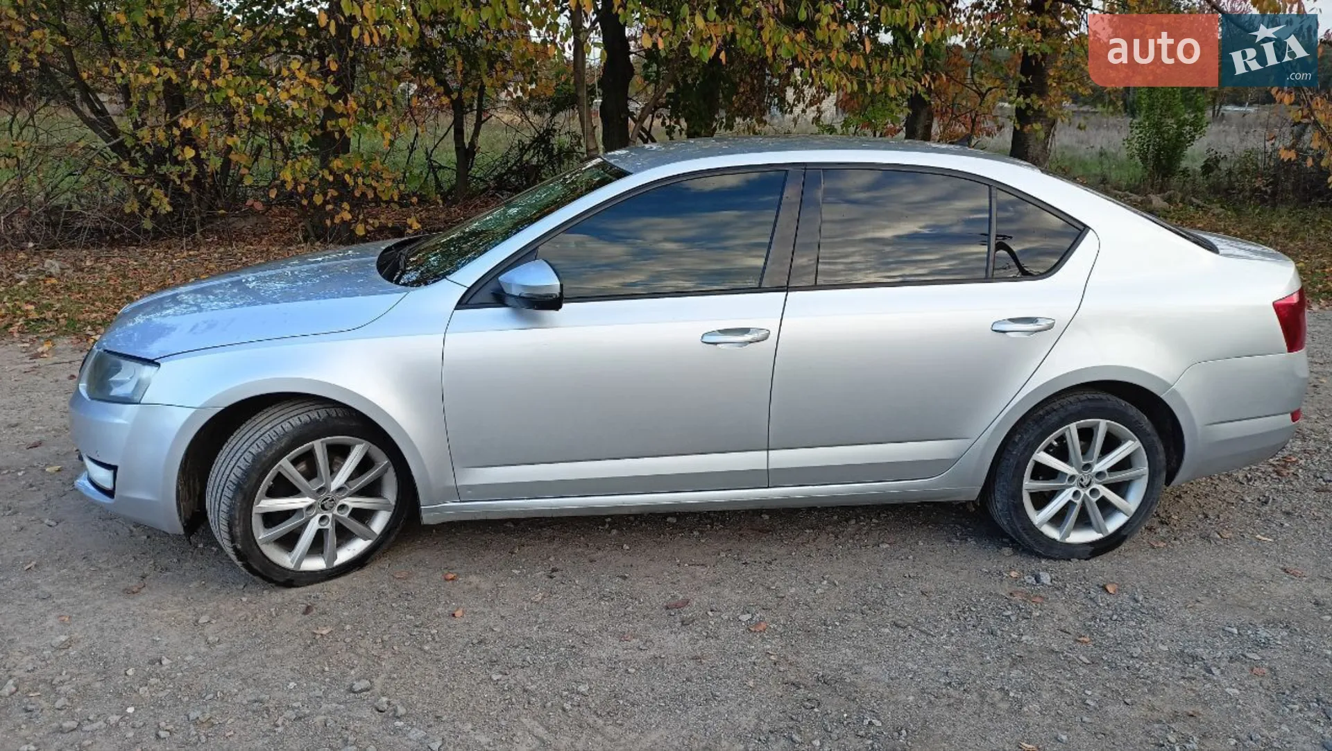 2013 Skoda Octavia - мініатюра 6