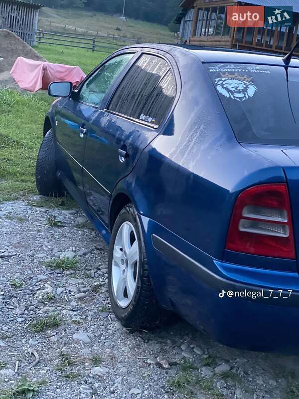Лифтбек Skoda Octavia 2002 в Верховине
