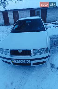 Ліфтбек Skoda Octavia 2002 в Шепетівці