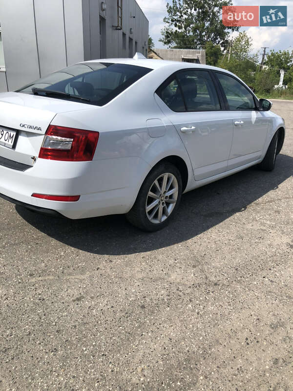 Ліфтбек Skoda Octavia 2016 в Хирові
