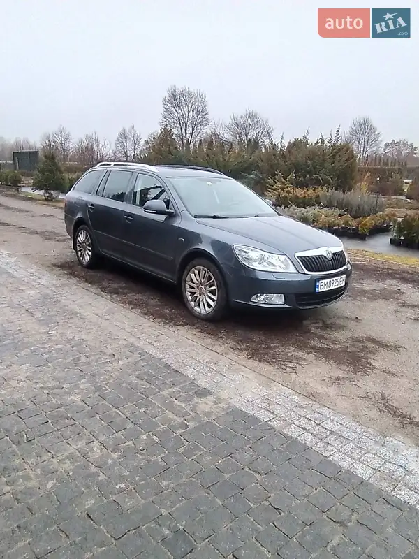 Skoda Octavia 2009 VIN TMBHJ61Z1A8020907 фото оголошення 18 з 51