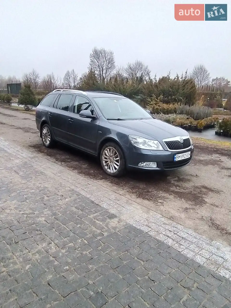 2010 Skoda Octavia - мініатюра 18