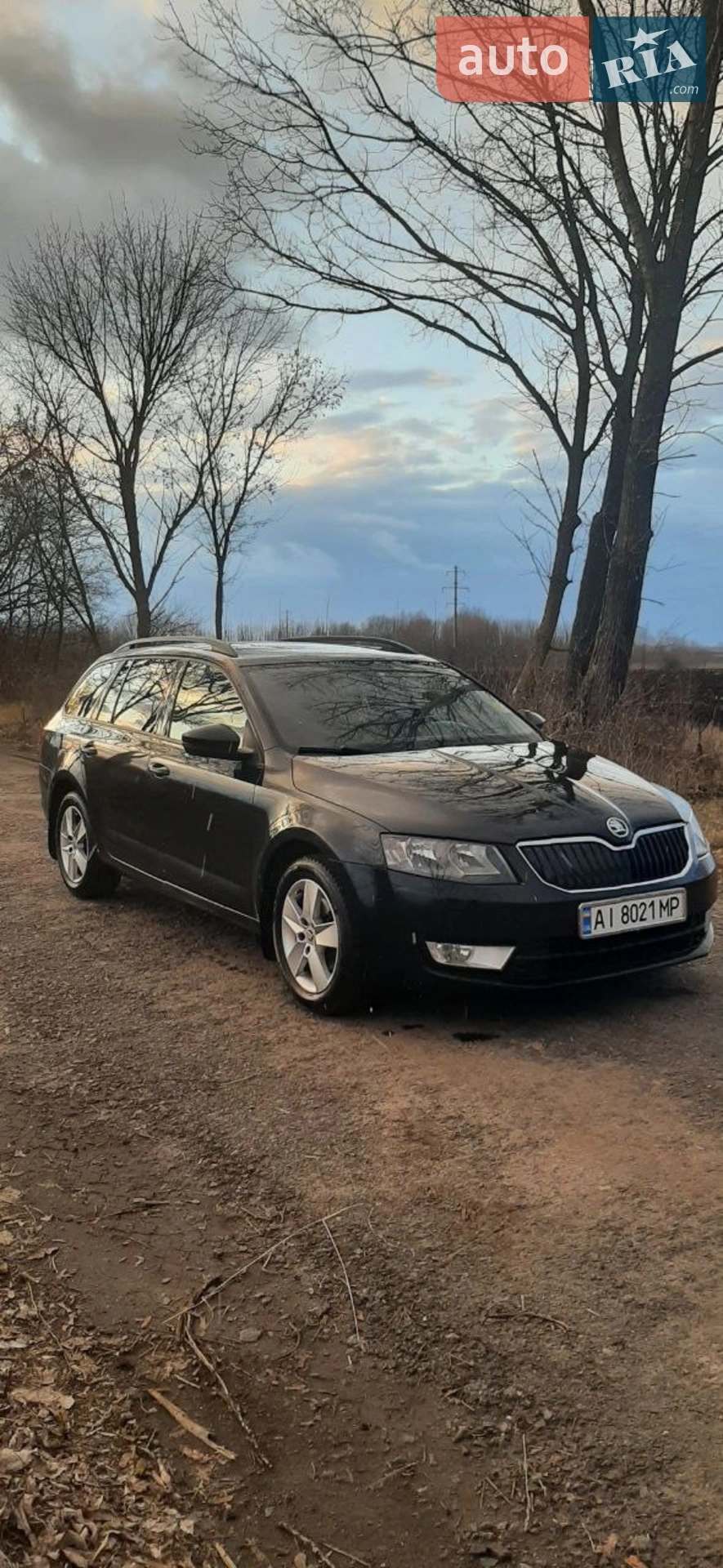 2013 Skoda Octavia - фото 1