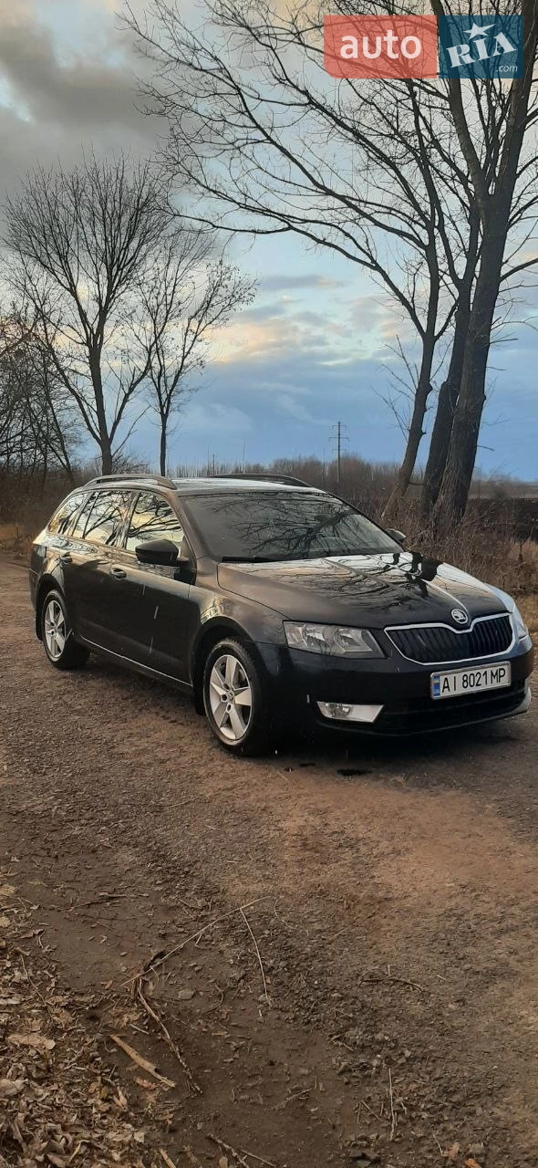 2013 Skoda Octavia - мініатюра 23