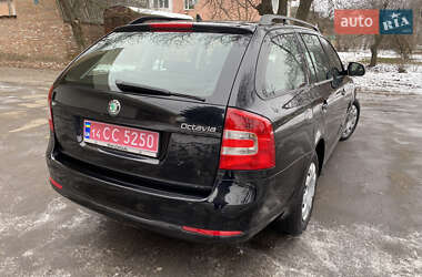 Универсал Skoda Octavia 2009 в Умани