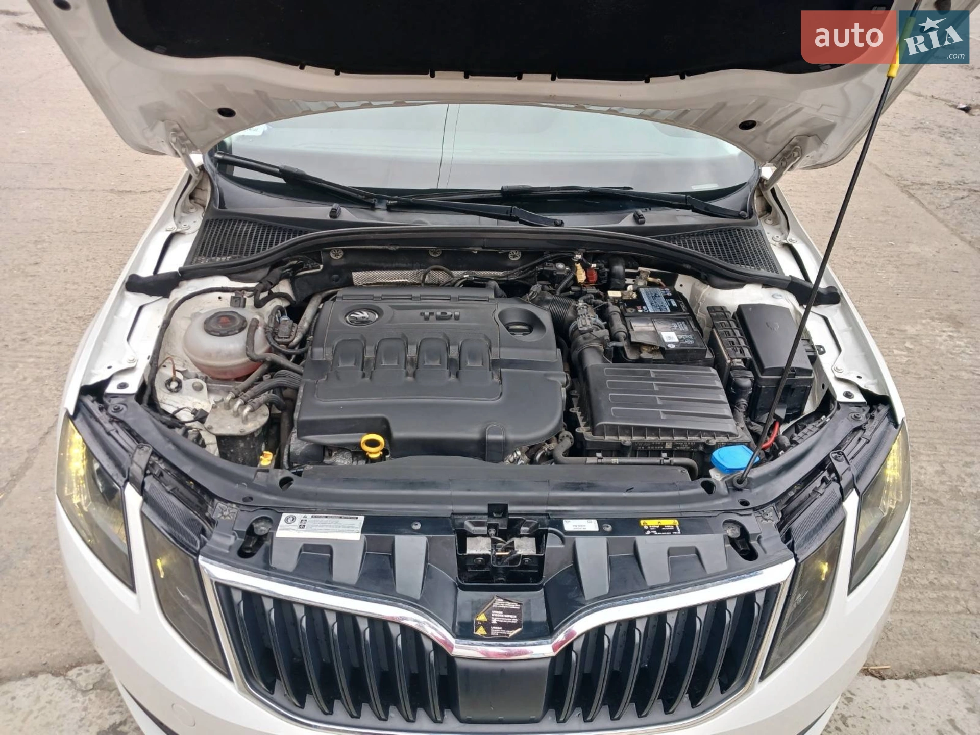2019 Skoda Octavia - мініатюра 13