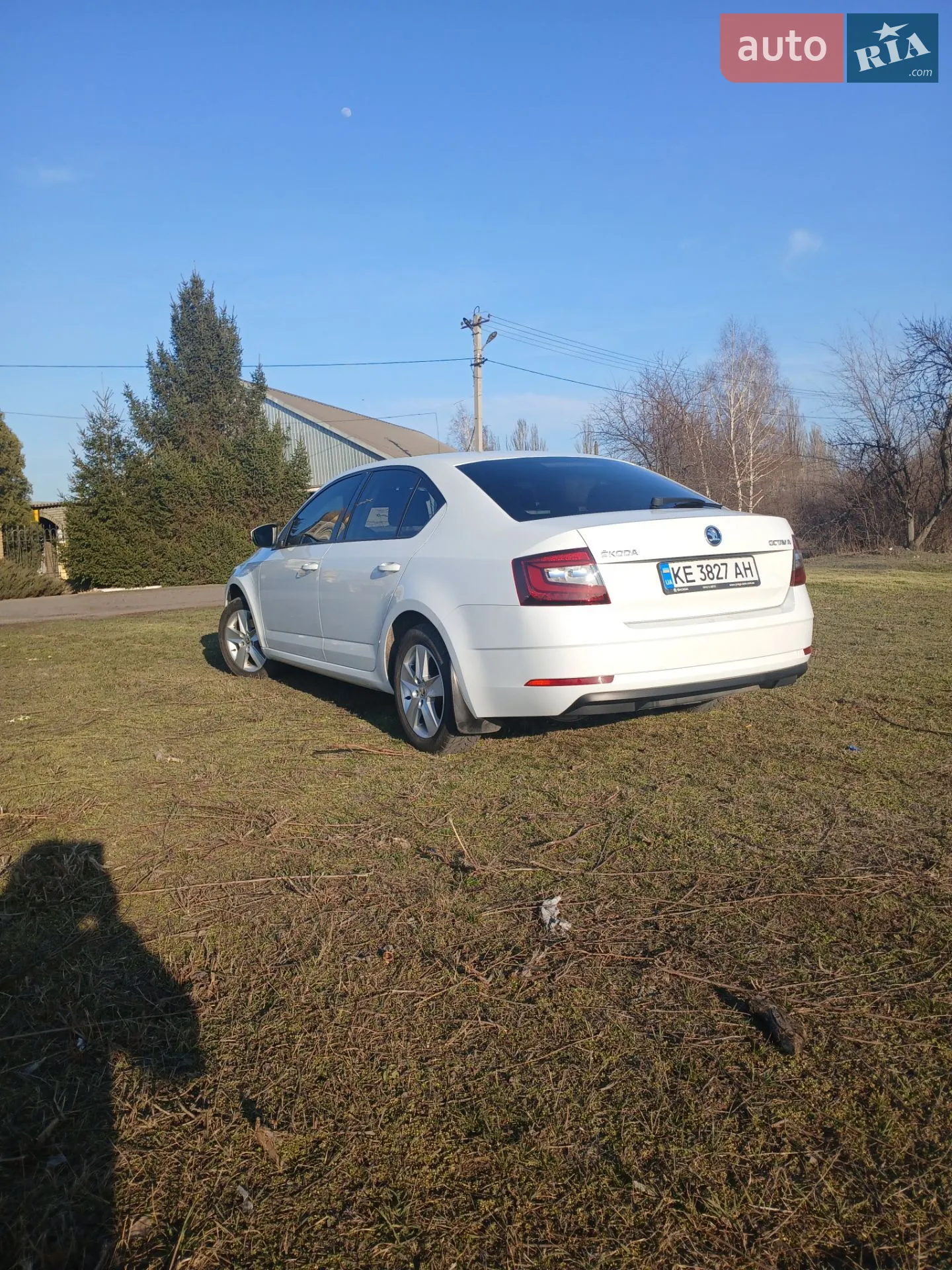 2017 Skoda Octavia - мініатюра 3