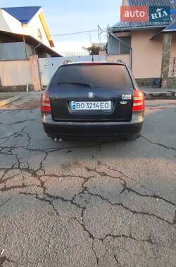 Універсал Skoda Octavia 2007 в Слов'янську