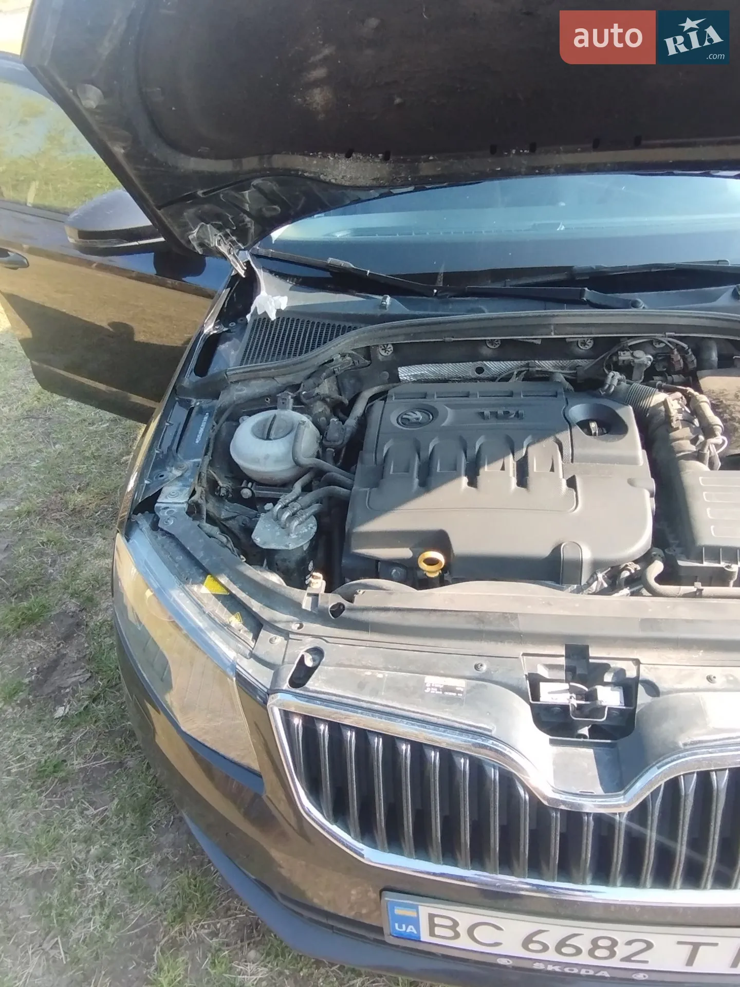 2016 Skoda Octavia - мініатюра 21