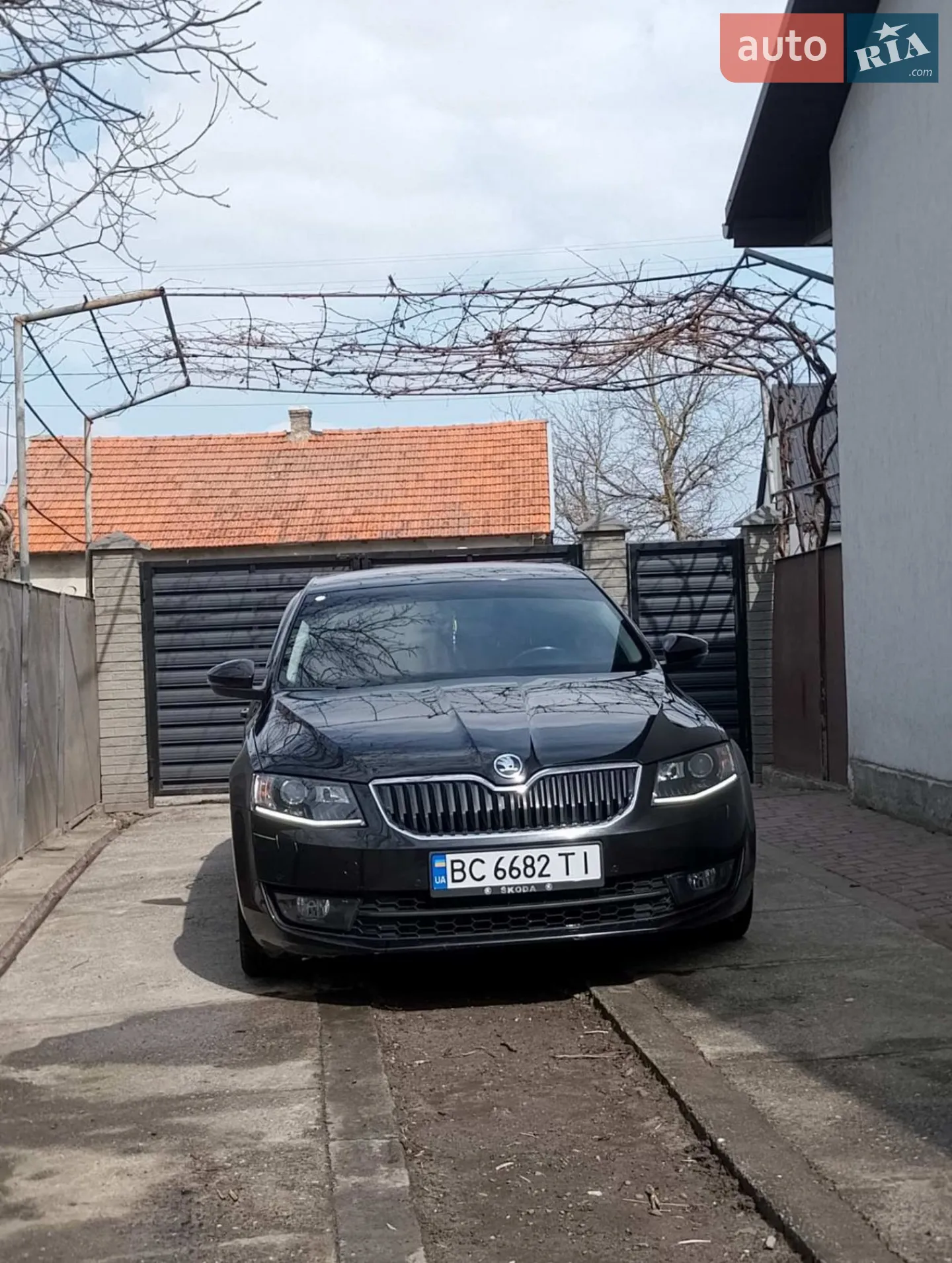 2016 Skoda Octavia - мініатюра 44