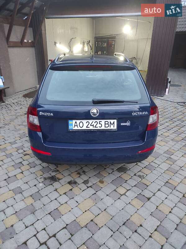 Универсал Skoda Octavia 2013 в Тячеве