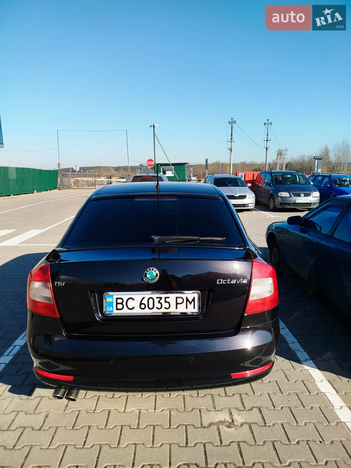 2011 Skoda Octavia - мініатюра 5