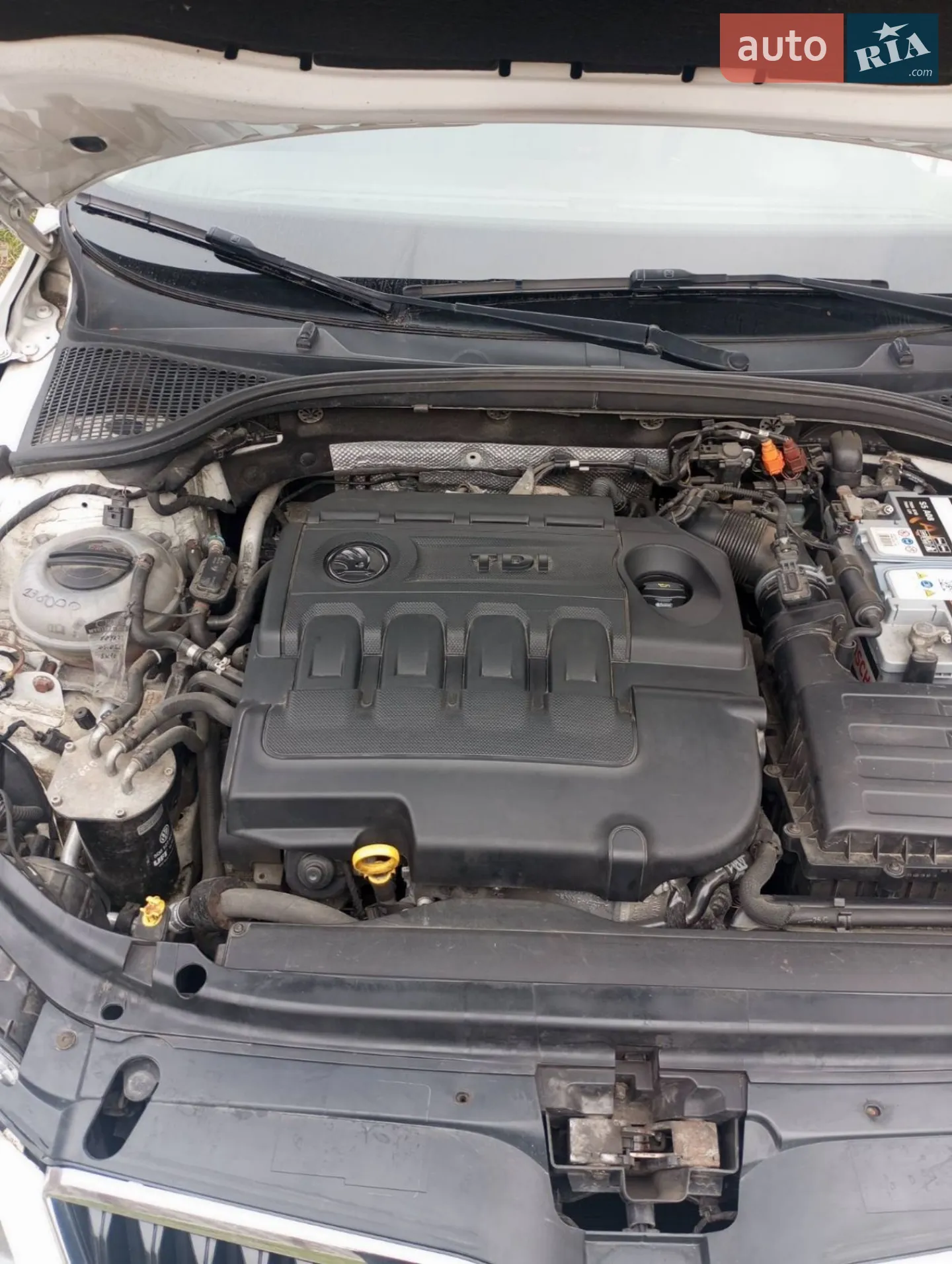 2014 Skoda Octavia - мініатюра 6