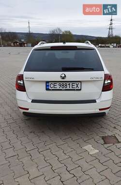 Универсал Skoda Octavia 2019 в Черновцах