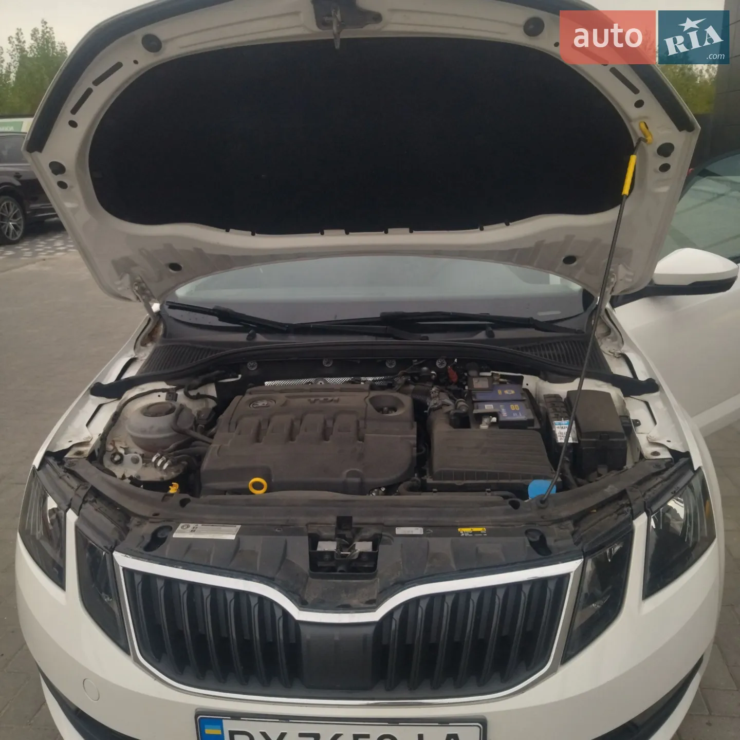 2017 Skoda Octavia - мініатюра 13