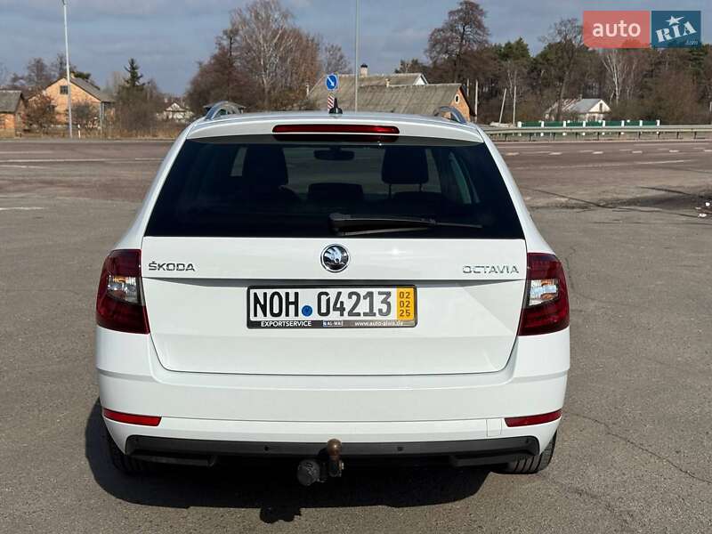 Универсал Skoda Octavia 2019 в Радивилове